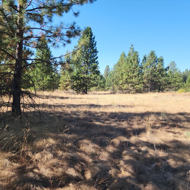 TBD Fdr Lake Rd, Inchelium, WA 99138