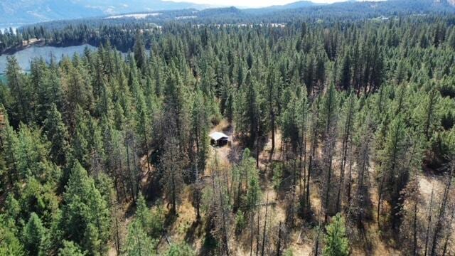 TBD Fdr Lake Rd, Inchelium, WA 99138