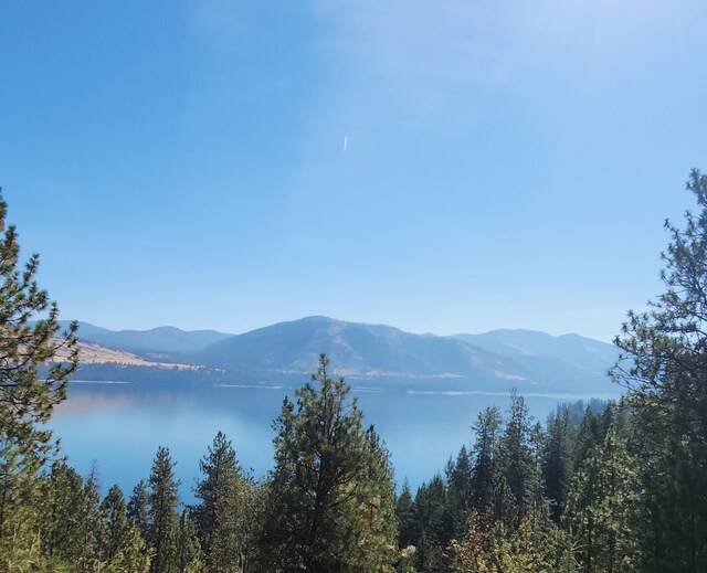 TBD Fdr Lake Rd, Inchelium, WA 99138