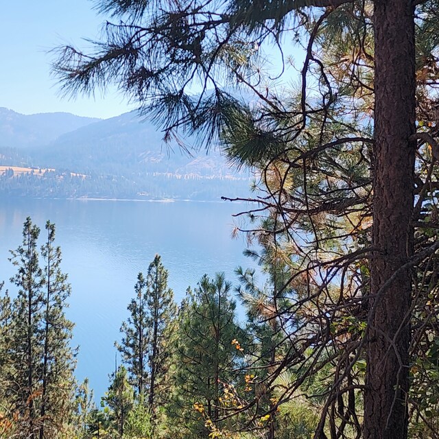 TBD Fdr Lake Rd, Inchelium, WA 99138