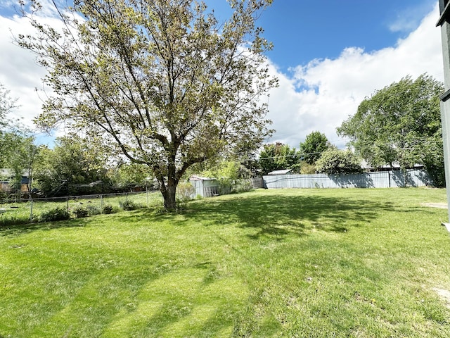 824 S Chester St, Colville, WA 99114 - view of yard