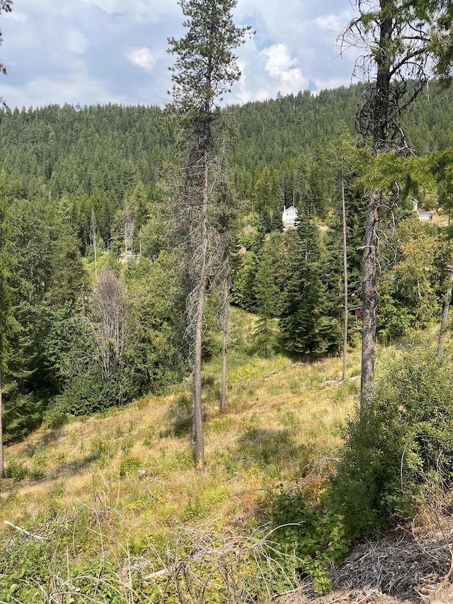 Listing photo 3 for LOT16 Kaniksu Rd, Chewelah WA 99109