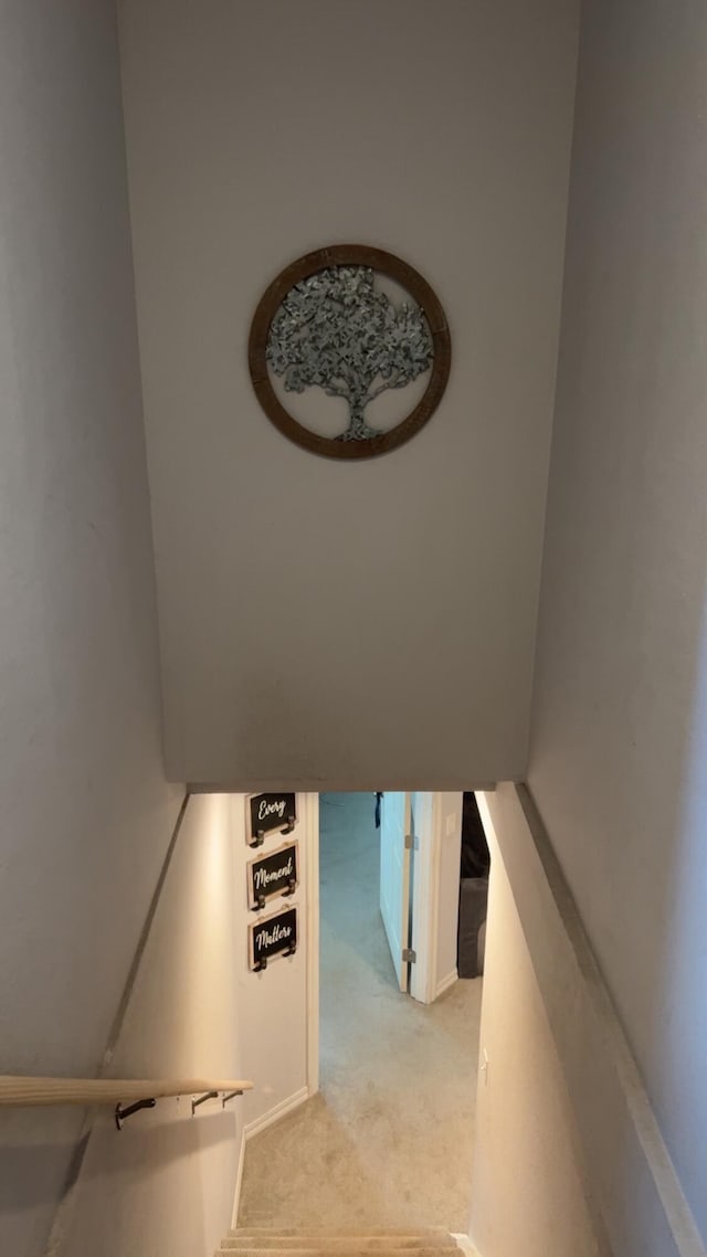 980 N Elm St, Colville, WA 99114 - stairway with carpet