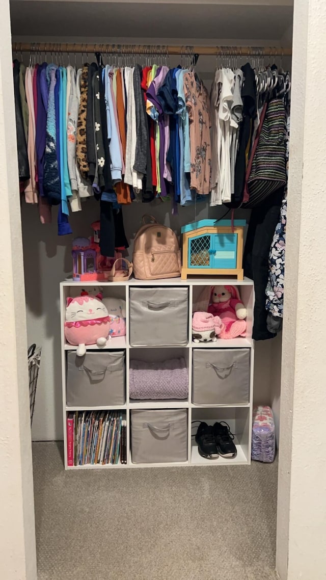 980 N Elm St, Colville, WA 99114 - view of closet