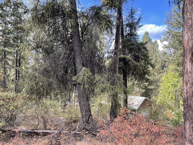 2X Lillooet Dr, Inchelium, WA 99138