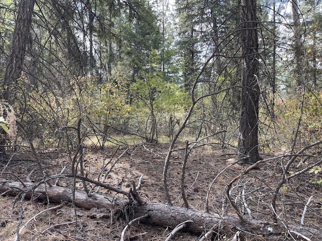 2X Lillooet Dr, Inchelium, WA 99138