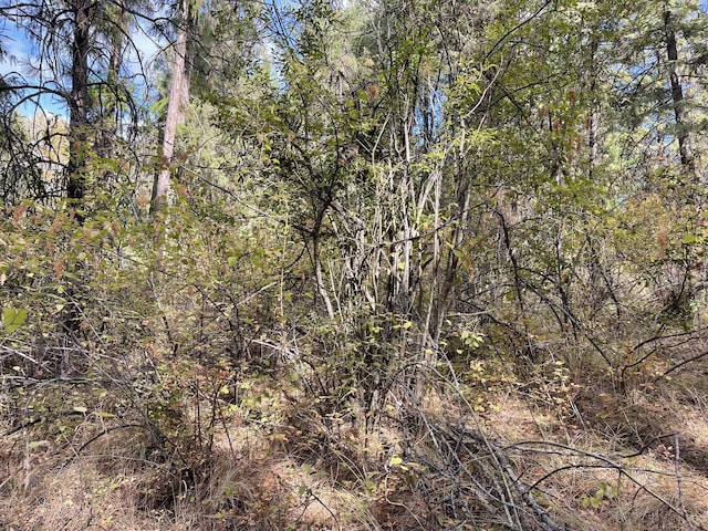 2X Lillooet Dr, Inchelium, WA 99138