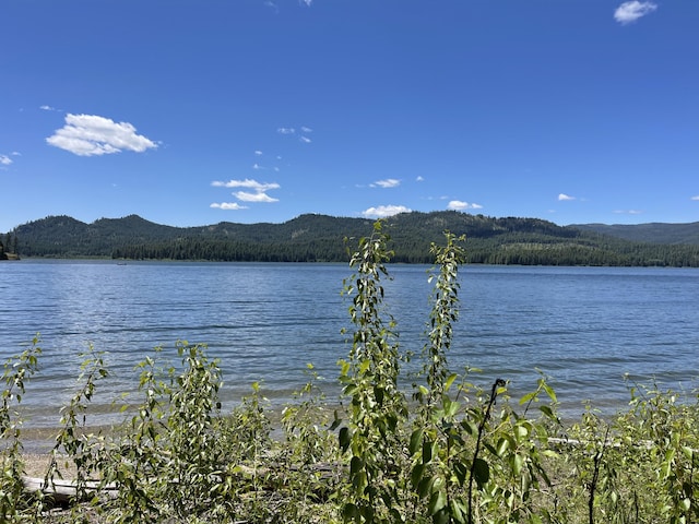 2X Lillooet Dr, Inchelium, WA 99138