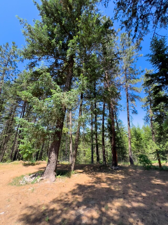 3255 Evergreen Dr, Valley, WA 99181 - photo 26