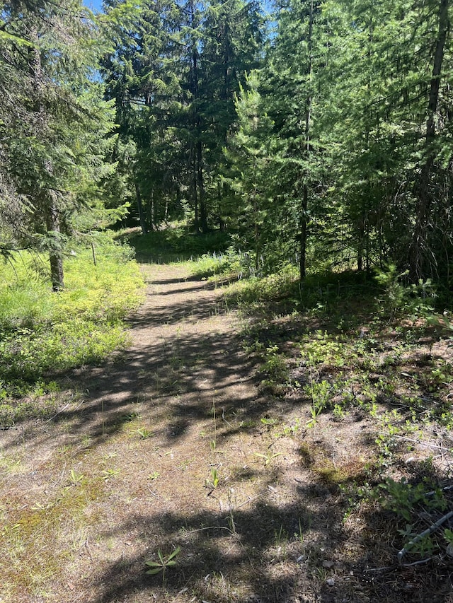 view of local wilderness