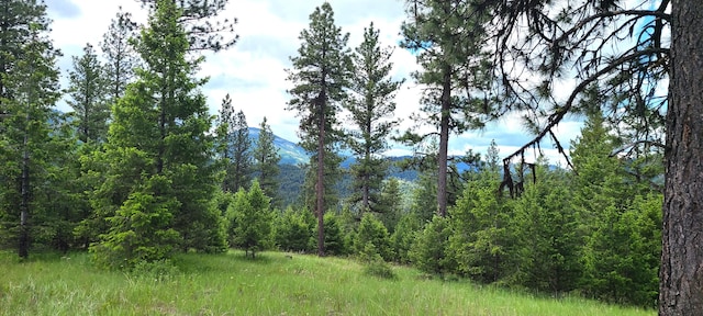 TBD Old Kettle Falls Rd, Republic WA, 99166 land for sale