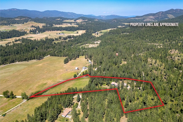 2534 United Copper Mine Rd Unit A, Chewelah, WA 99109 - bird's eye view featuring a wooded view and a mountain view