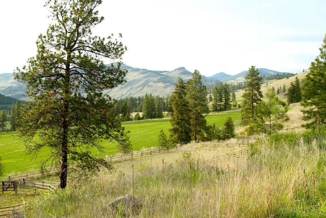 mountain view featuring a rural view