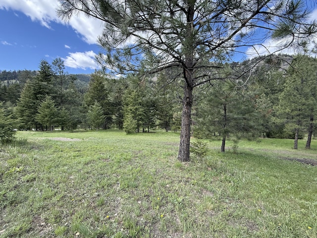 920 Toroda Creek Rd, Wauconda, WA 98859 - photo 48