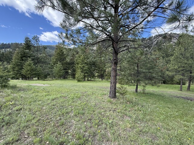 920 Toroda Creek Rd, Wauconda, WA 98859 - photo 47