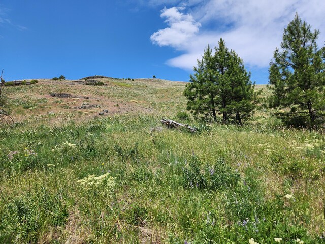 TBD Roundabout Rd, Tonasket, WA 98855