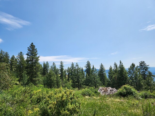 TBD Roundabout Rd, Tonasket, WA 98855