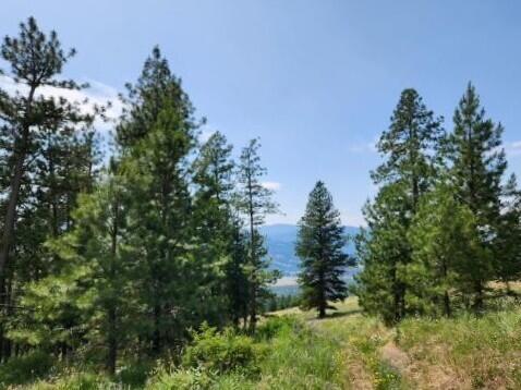 TBD Roundabout Rd, Tonasket, WA 98855