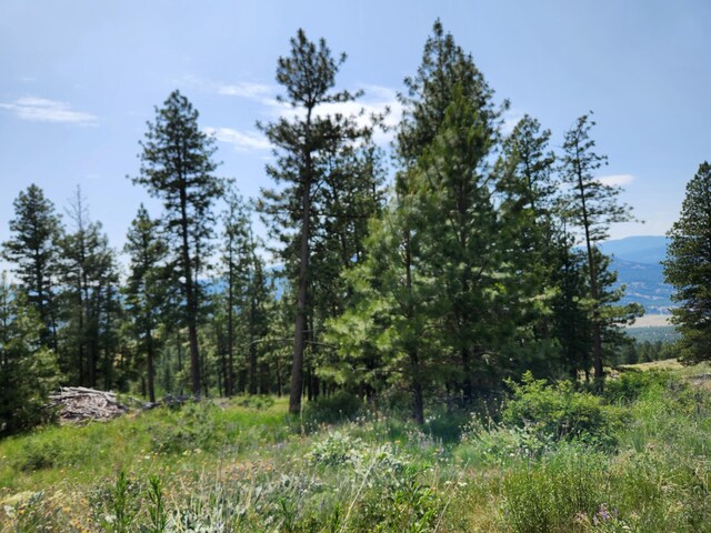 TBD Roundabout Rd, Tonasket, WA 98855