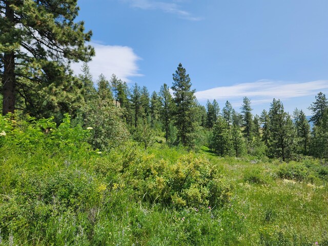TBD Roundabout Rd, Tonasket, WA 98855