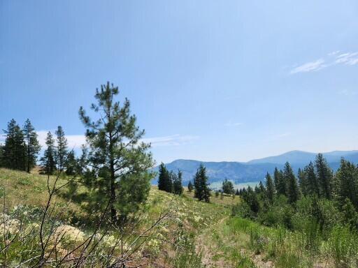 TBD Roundabout Rd, Tonasket, WA 98855