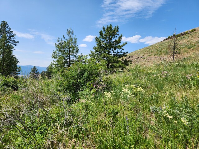 TBD Roundabout Rd, Tonasket, WA 98855