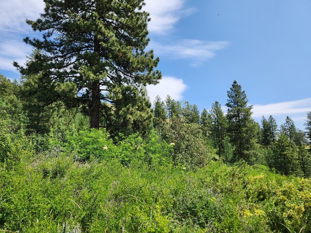 TBD Roundabout Rd, Tonasket, WA 98855