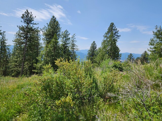 TBD Roundabout Rd, Tonasket, WA 98855