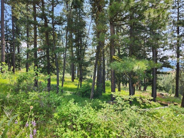 TBD Roundabout Rd, Tonasket, WA 98855