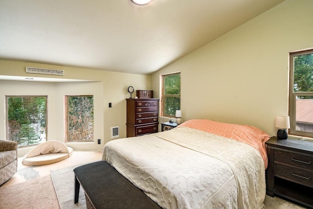 bedroom with multiple windows and vaulted ceiling