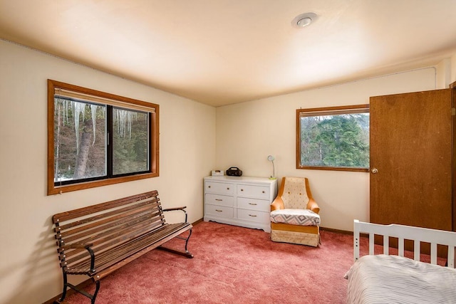 view of carpeted bedroom