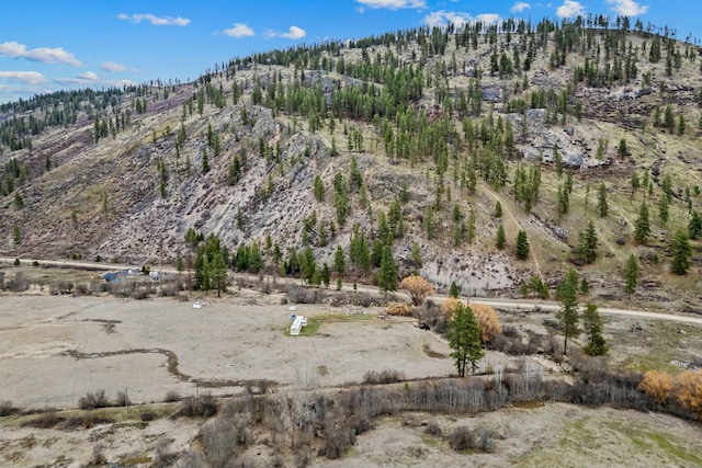 3032 Wrights Valley Rd, Chewelah, WA 99109 - aerial view with a mountain view