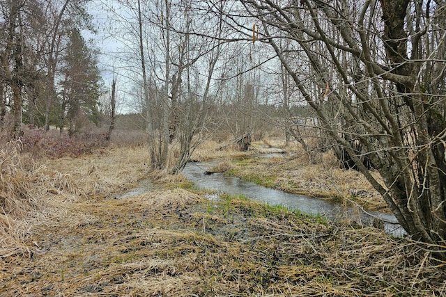 3032 Wrights Valley Rd, Chewelah, WA 99109 - view of nature featuring a wooded view