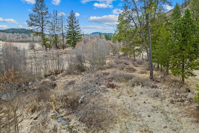 3032 Wrights Valley Rd, Chewelah, WA 99109 - view of landscape with a wooded view