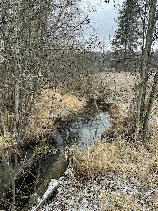 3032 Wrights Valley Rd, Chewelah, WA 99109 - view of nature