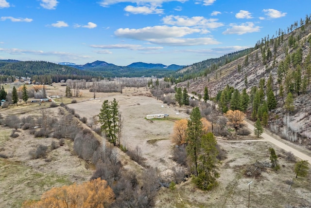 3032 Wrights Valley Rd, Chewelah, WA 99109 - view of mountain feature featuring a rural view