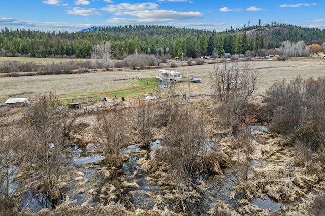 3032 Wrights Valley Rd, Chewelah, WA 99109 - bird's eye view with a rural view and a view of trees