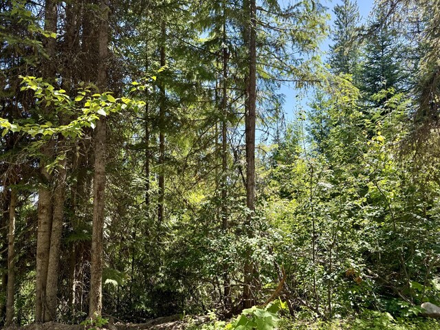 TBD Perelandra Cir, Danville, WA 99121 - photo 3