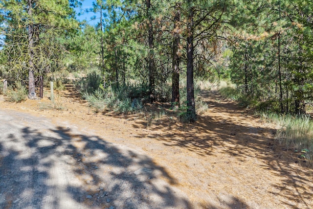 33800 Winterwood Ln E, Davenport, WA 99122 - photo 4