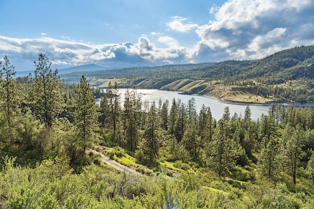 33905 Winterwood Ln E, Davenport, WA 99122 - photo 80