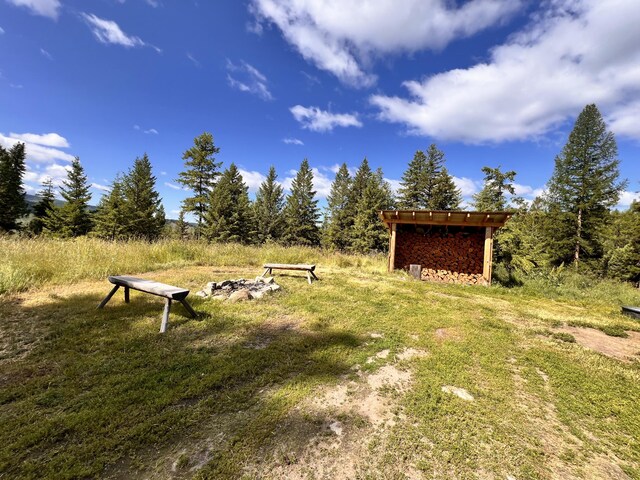 177 First Creek Rd, Curlew, WA 99118 - view of yard