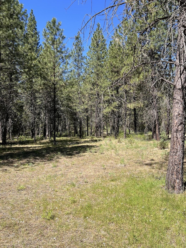 view of landscape with a forest view