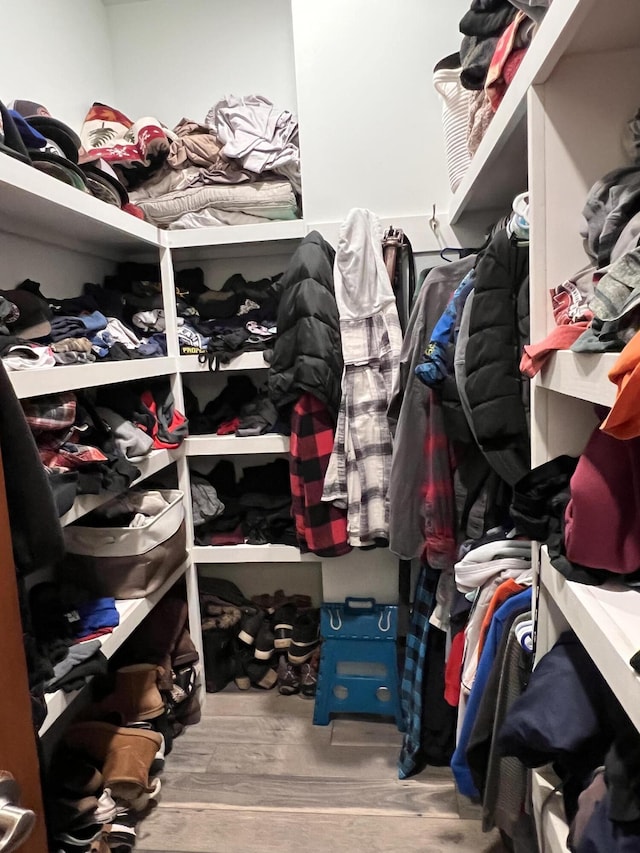spacious closet with wood finished floors