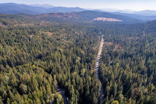 1416 Aspen Creek Rd, Colville, WA 99114 - photo 4