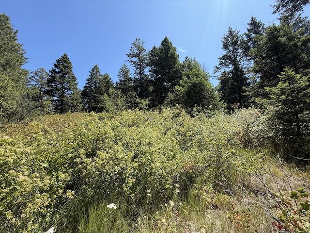 135 Slippery Hill Ln, Republic, WA 99166 - photo 2