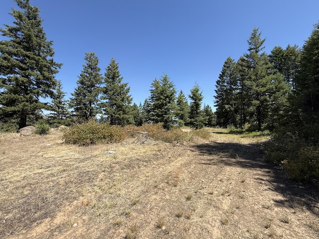 135 Slippery Hill Ln, Republic, WA 99166 - photo 11