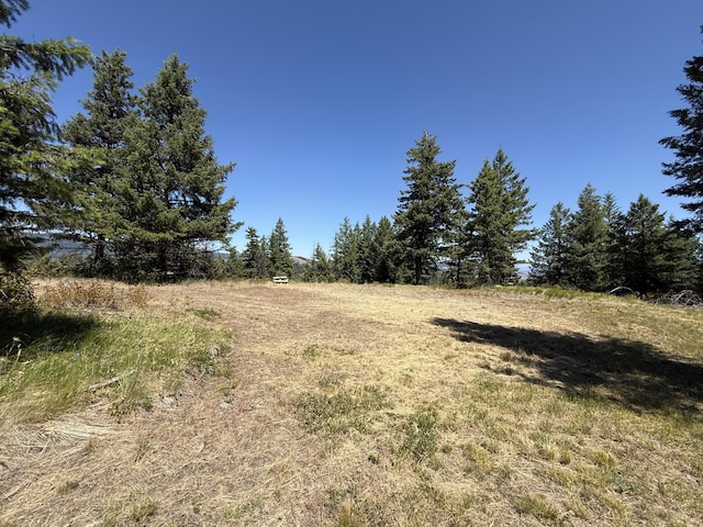 135 Slippery Hill Ln, Republic, WA 99166 - photo 13