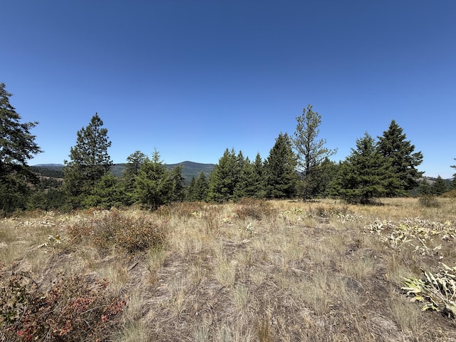 135 Slippery Hill Ln, Republic, WA 99166 - photo 8