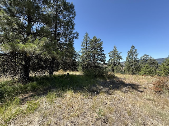135 Slippery Hill Ln, Republic, WA 99166 - photo 7
