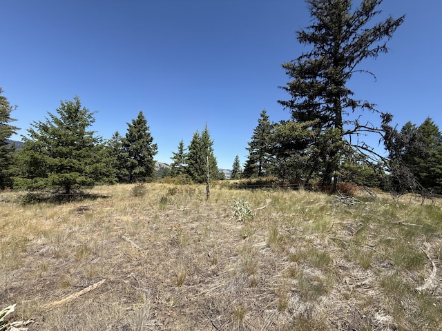 135 Slippery Hill Ln, Republic, WA 99166 - photo 9